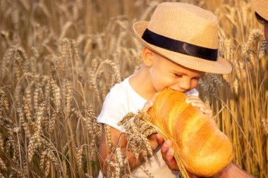 Buğday tarlasında bir çocuk ekmek yer. Doğa. seçici odak