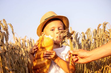 Buğday tarlasında bir çocuk ekmek yer. Doğa. seçici odak