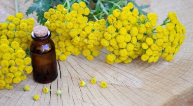 Ahşap bir arka planda ölümsüzlüğün temel yağı. Seçici odaklanma. Bitkiler