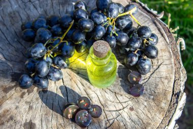 Cam kavanozda üzüm tohumu yağı ve kaplıca ve vücut bakımı için taze üzüm. Spa, biyoloji, ekolojik ürünler konsepti. seçici odak