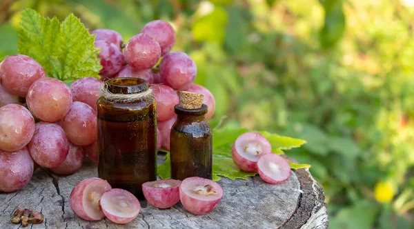 Óleo Semente Uva Frasco Vidro Uvas Frescas Para Spa Cuidados — Fotografia de Stock