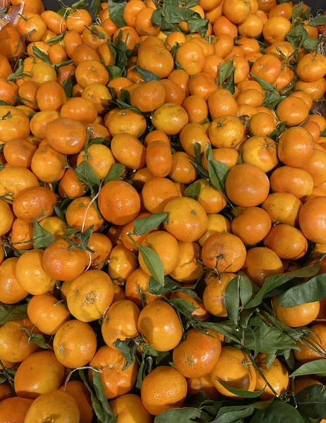 Süpermarkette sebzeler ve meyvelerle tezgahlar. Süpermarketten alışveriş yapmak. seçici odak