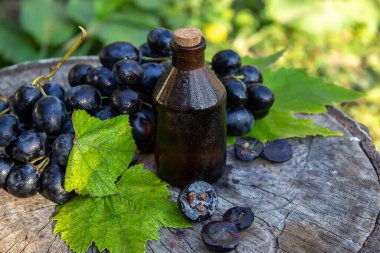 Cam kavanozda üzüm tohumu yağı ve kaplıca ve vücut bakımı için taze üzüm. Spa, biyoloji, ekolojik ürünler konsepti. seçici odak