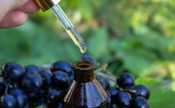在玻璃瓶和新鲜葡萄中加入葡萄籽油 用于温泉和身体护理 生态产品的概念 选择性重点 — 图库照片