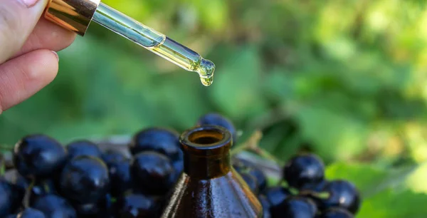 在玻璃瓶和新鲜葡萄中加入葡萄籽油 用于温泉和身体护理 生态产品的概念 选择性重点 — 图库照片