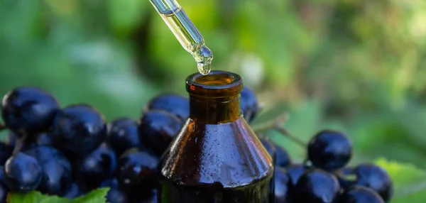 Óleo Semente Uva Frasco Vidro Uvas Frescas Para Spa Cuidados — Fotografia de Stock