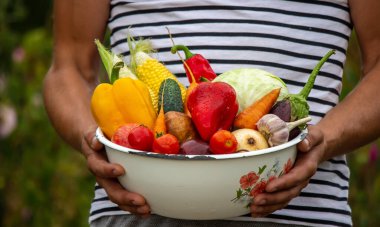 Elleri geniş bir tabakta çeşitli taze tarımsal sebzeler tutuyor. Sonbahar hasadı ve sağlıklı organik gıda konsepti. seçici odak