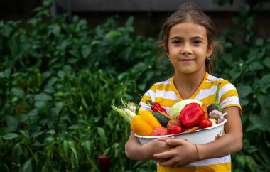 Çocuk ve baba ellerinde taze sebzeler tutuyor. Seçici odaklanma. Çocuk.