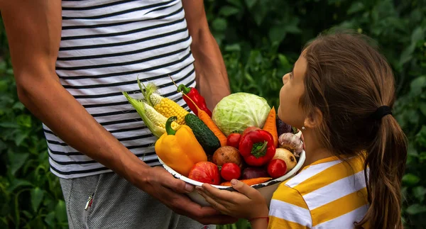 Çocuk Baba Ellerinde Taze Sebzeler Tutuyor Seçici Odaklanma Çocuk — Stok fotoğraf