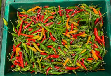 Pazar tezgahında taze meyve ve sebze seçimi. Seçici odak