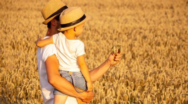 Çiftçi ve oğlu buğday tarlaları. Seçici bir odak noktası.