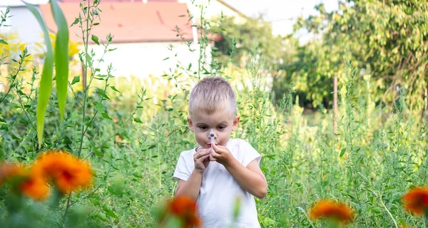 Conceito Uma Criança Trata Uma Planta Uma Doença Ele Pica — Fotografia de Stock