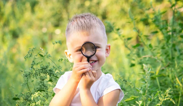 Ung Pojke Som Utforskar Naturen Ängen Med Ett Förstoringsglas Som — Stockfoto