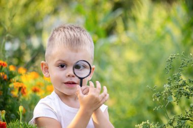 Çocuk bir büyüteçle kasedeki böceklere bakıyor. Doğa. seçici odak
