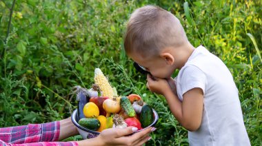 Bir çocuk büyüteçle kasedeki taze sebzelere bakıyor. Doğa. seçici odak