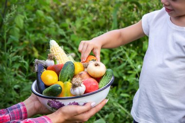 Bahçedeki çocuk elinde sebzelerle. Seçici odaklanma. Doğa.