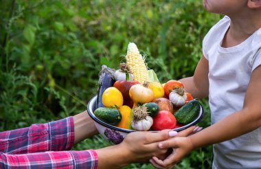 Bahçedeki çocuk elinde sebzelerle. Seçici odaklanma. Doğa.