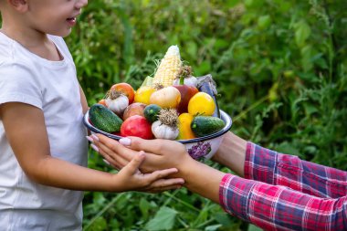 Bahçedeki çocuk elinde sebzelerle. Seçici odaklanma. Doğa.