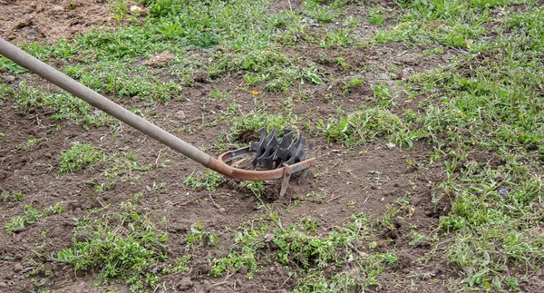 Cleaning weeds on the farm, vegetable garden garden. selective focus