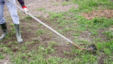 Bir adam bahçede yabani otları temizler. Çiftlikte bahar temizliği. seçici odak