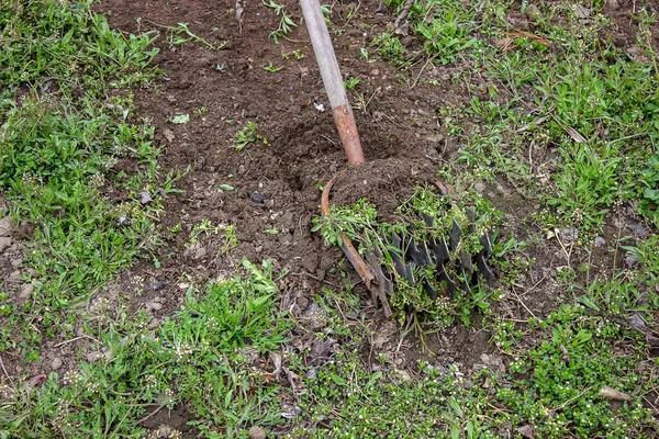 Hombre Limpia Malezas Jardín Limpieza Primavera Granja Enfoque Selectivo — Foto de Stock