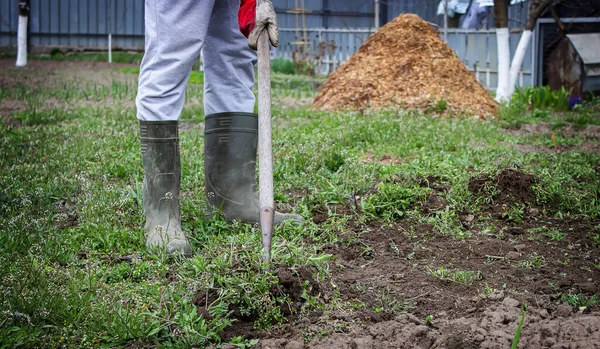 Uomo Pulisce Erbacce Giardino Pulizie Primaverili Azienda Focus Selettivo — Foto Stock