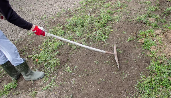 Bir adam bahçede yabani otları temizler. Çiftlikte bahar temizliği. seçici odak