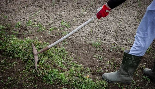 Bir adam bahçede yabani otları temizler. Çiftlikte bahar temizliği. seçici odak