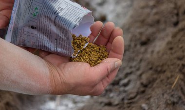 Genç köylü kadın sıcak kara toprağa havuç, turp ve pancar tohumları ekiyor. Ilık bahar güneşli bir gün ekim için iyi bir zamandır. Çiftçilere sosyal yardım. Yakından bakan eller