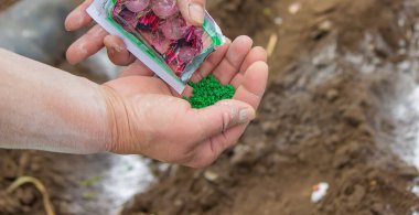 Genç köylü kadın sıcak kara toprağa havuç, turp ve pancar tohumları ekiyor. Ilık bahar güneşli bir gün ekim için iyi bir zamandır. Çiftçilere sosyal yardım. Yakından bakan eller