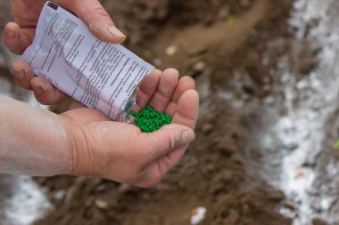 Genç köylü kadın sıcak kara toprağa havuç, turp ve pancar tohumları ekiyor. Ilık bahar güneşli bir gün ekim için iyi bir zamandır. Çiftçilere sosyal yardım. Yakından bakan eller