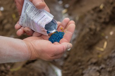 Genç köylü kadın sıcak kara toprağa havuç, turp ve pancar tohumları ekiyor. Ilık bahar güneşli bir gün ekim için iyi bir zamandır. Çiftçilere sosyal yardım. Yakından bakan eller