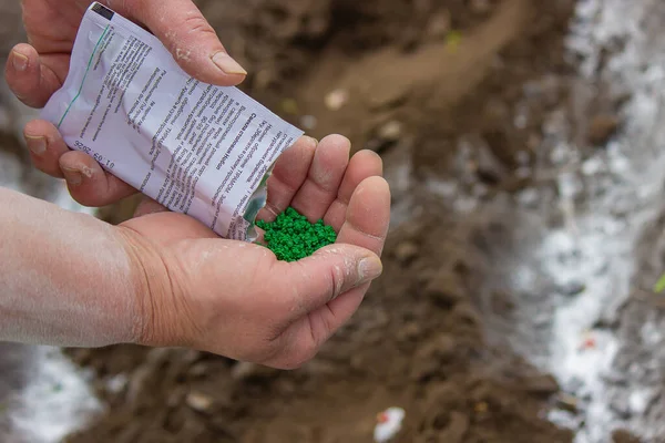 Genç köylü kadın sıcak kara toprağa havuç, turp ve pancar tohumları ekiyor. Ilık bahar güneşli bir gün ekim için iyi bir zamandır. Çiftçilere sosyal yardım. Yakından bakan eller