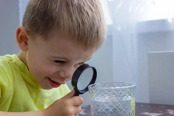 Criança Examina Água Com Uma Lupa Copo Foco Seletivo Miúdo — Fotografia de Stock