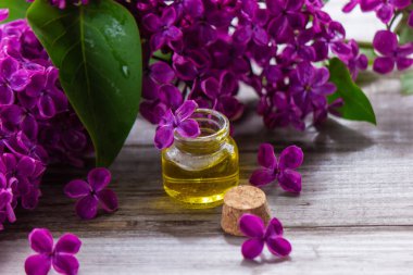 Küçük bir şişedeki leylak yağı. Seçici odaklanma. Doğa.