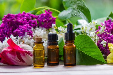 Çiçeklerden elde edilen temel yağ. Spa mı? Seçici odaklanma doğası