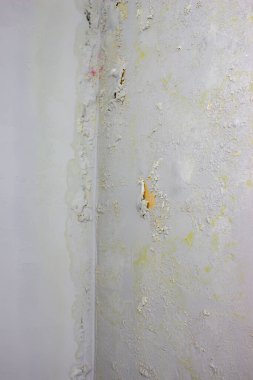 Duvardaki siyah küf. Evi sel bastıktan sonra duvarda mantar vardı. seçici odak