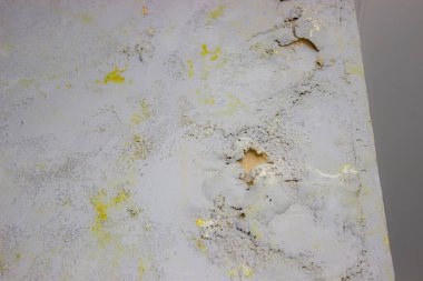 Duvardaki siyah küf. Evi sel bastıktan sonra duvarda mantar vardı. seçici odak