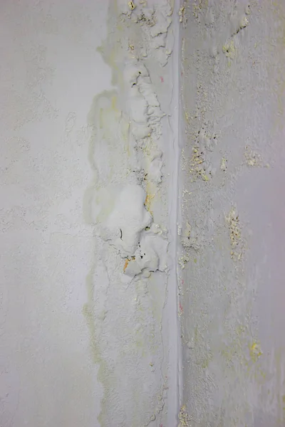 black mold on the wall. Fungus on the wall after the flooding of the house. selective focus