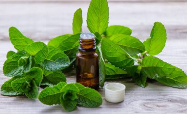 Küçük bir şişede nane yağı. Seçici odaklanma. Doğa.