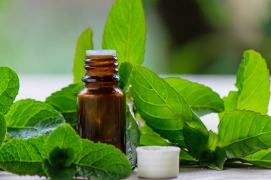 Küçük bir şişede nane yağı. Seçici odaklanma. Doğa.