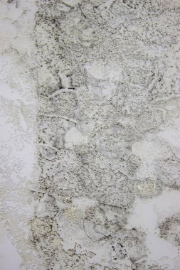 Duvardaki siyah küf. Evi sel bastıktan sonra duvarda mantar var..