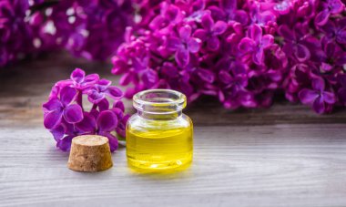 Küçük bir şişedeki leylak yağı. Seçici odaklanma. Doğa.