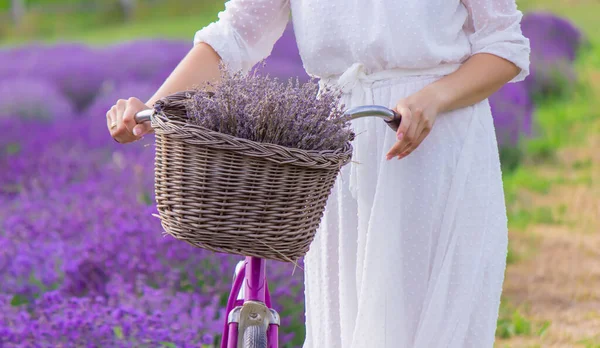 Woman Field Lavender Flowers White Dress Ukraine Selective Focus — 图库照片