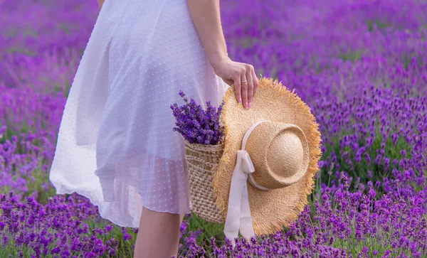 Woman in a field of lavender flowers in a white dress. Ukraine. selective focus