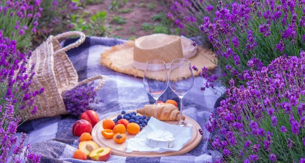 Girl Lavender Field Pours Wine Glass Relaxation Selective Focus — 图库照片