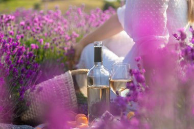 Kız lavanta tarlasında dinleniyor, şarap içiyor. Seçici odaklanma. Rahatlama