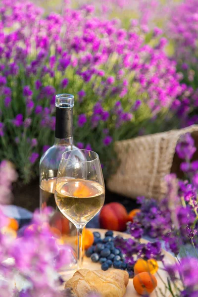 Girl Resting Lavender Field Drinking Wine Selective Focus Relaxation — Stockfoto