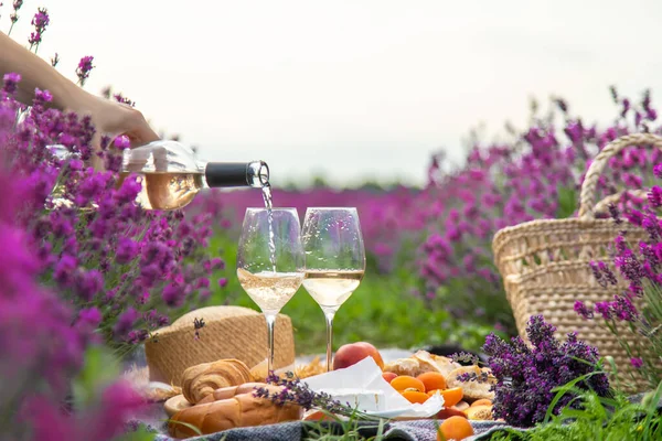 Girl Resting Lavender Field Drinking Wine Selective Focus Relaxation — Foto Stock