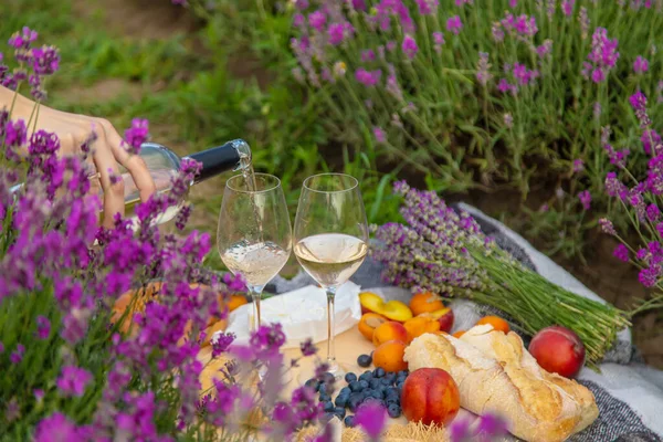 Girl Resting Lavender Field Drinking Wine Selective Focus Relaxation — Foto Stock